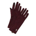 Merino 250 Glove